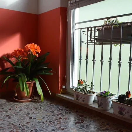 B&B La Vecchia Tipografia - D'idro 3*
